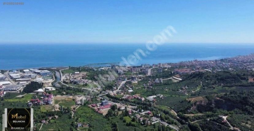 PAZARSUYU KÖYÜ DENİZ MANZARALI FIRSAT ARSA